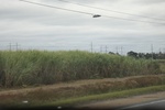 2022-11-17_21-54-59_438EA5C2-364E-4467-963D-07343993D8AD.jpeg