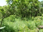 19556P1010403.JPG