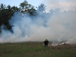 15489IMG_4559.JPG