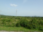 18872P1000714.JPG