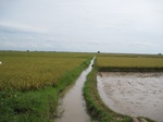 15582IMG_4652.JPG
