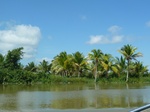 54645Bulungan (157).JPG