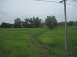 33323IMG_5659.JPG