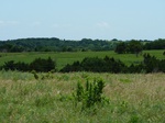 21564P1010388.JPG