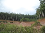 33662IMG_5859.JPG