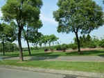 52033CIMG1106.JPG