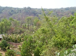 504120042008(79).JPG