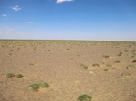 36712CIMG0481.JPG