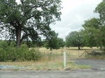 35846DSC02613.JPG