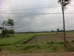 31336CIMG1198.JPG