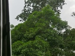 49905CIMG6242.JPG