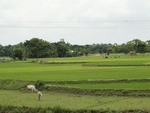 22030DSC00150.JPG