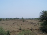 479101052008(62).JPG