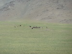 22342P1010481.JPG