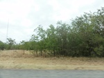 35815DSC02579.JPG