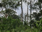 49598CIMG5935.JPG