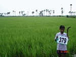 133540379c-irrigated-canal-rice-doublecrop-blackgram.gif