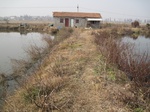 8465IMG_0290.JPG