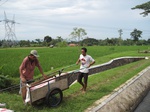 14564IMG_4930.JPG