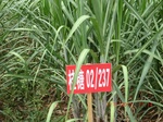 33218CIMG2460.JPG