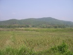 28197RIMG0186.JPG
