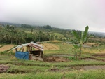 30827CIMG0677.JPG