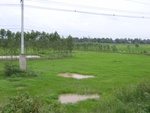 33472RIMG0212.JPG