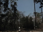28135IMG_4956.JPG