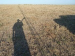 39309WOOD20110727W.JPG