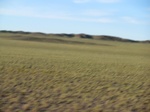 37875CIMG1682.JPG