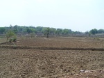 17442100_2130.JPG
