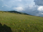 38166P1080091.JPG