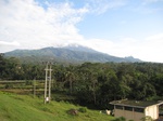 14631IMG_5010.JPG