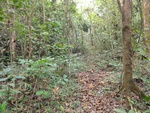 46711DSC02046.JPG