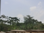 49687CIMG6024.JPG