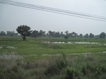 34485IMG_5468.JPG