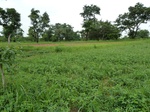 18700P1000538.JPG