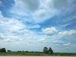 56990CIMG2090.JPG