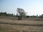 28153IMG_4983.JPG