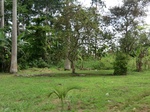 46619CIMG0908.JPG