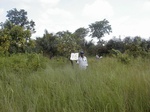 11972GT016_Hydromorphic_Valley_Bottom.JPG
