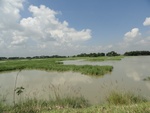 24637DSC00856.JPG