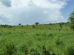 19638P1010485.JPG