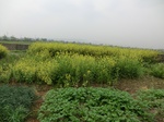 51621CIMG0336.JPG