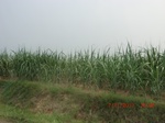 32759CIMG1891.JPG