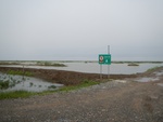 54338DSCN1612.JPG