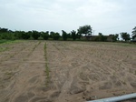 18742P1000580.JPG