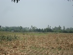 21857DSC08447.JPG