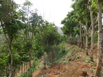 53477CIMG6814.JPG