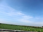 56101CIMG6801.JPG